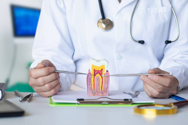 Best Emergency Root Canal Therapy in Henry, IL